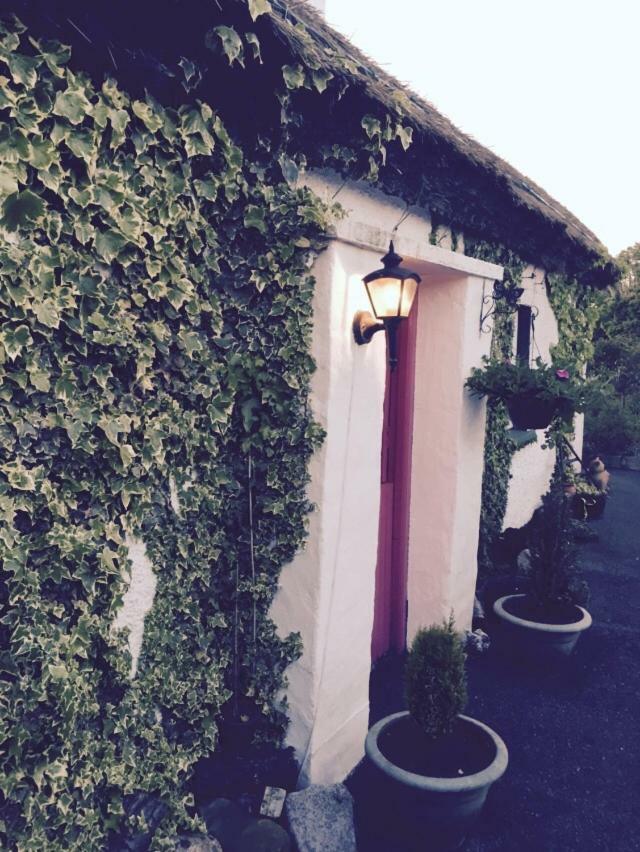Donegal Town Teresas Cottage מראה חיצוני תמונה