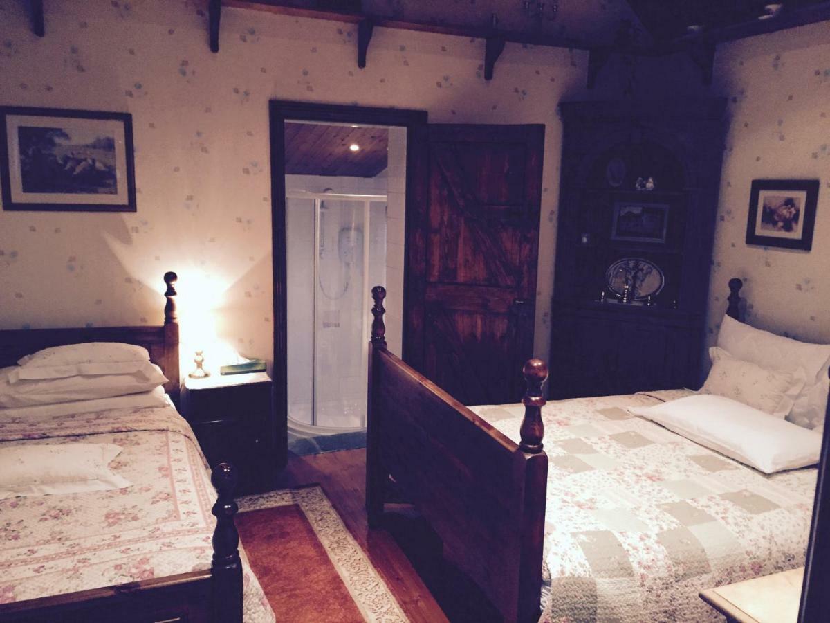 Donegal Town Teresas Cottage מראה חיצוני תמונה